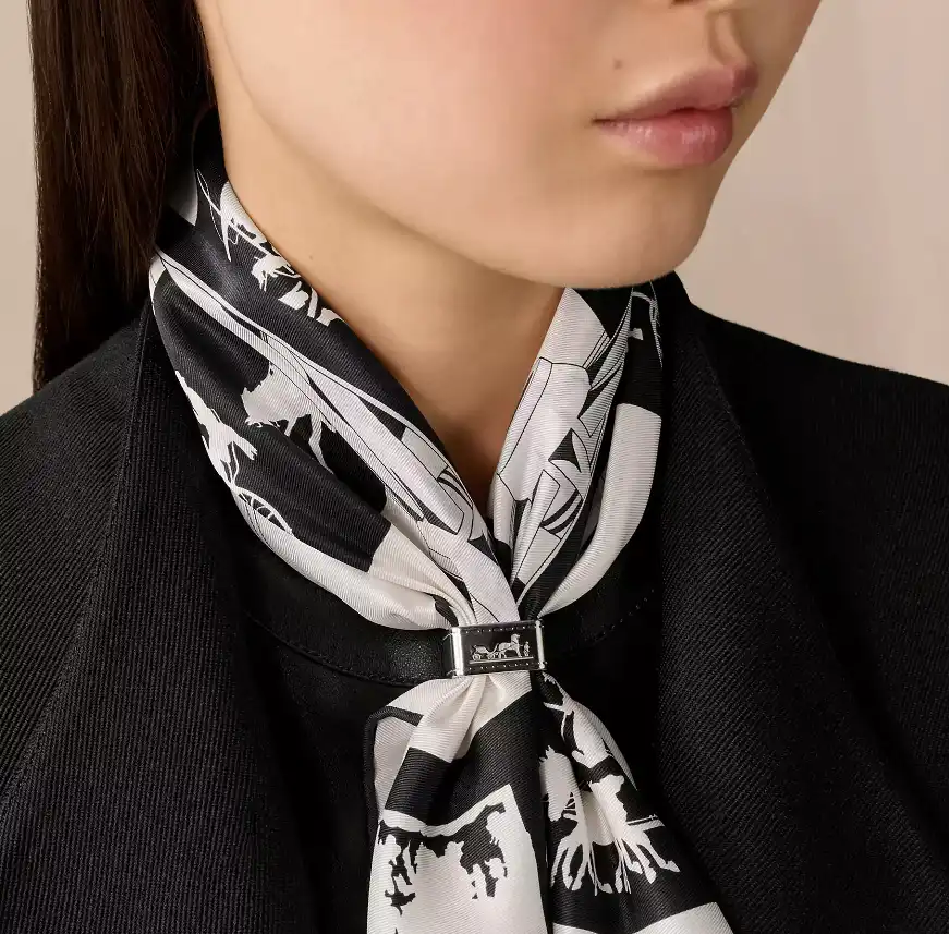 Hermes Scarf Ring Bolduc - photo 2