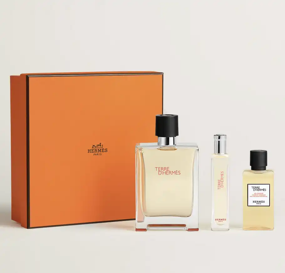 Hermes Hermes Terre dHermes Eau De Toilette Gift Set (100ml EDT / 15ml EDT / 40 ml hair and body shower gel)