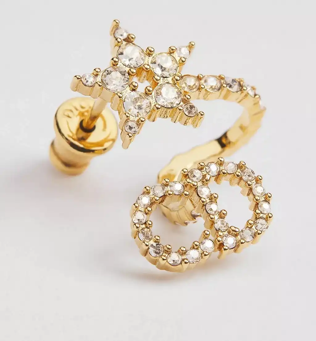 Dior Clair D Lune Earrings star - photo 5