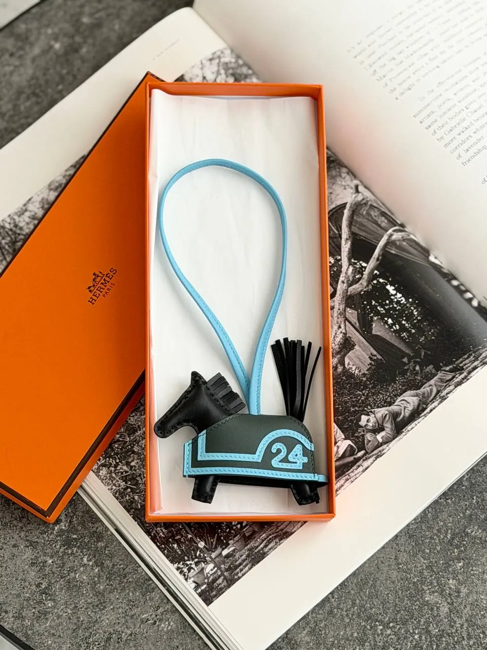 Hermes Rodeo Robeo PM Noir / Vert Mangrove / Celeste | Snowceline