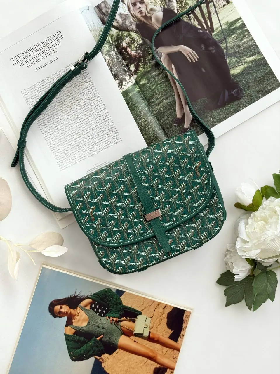 Goyard Belvedere PM Bag - photo 4