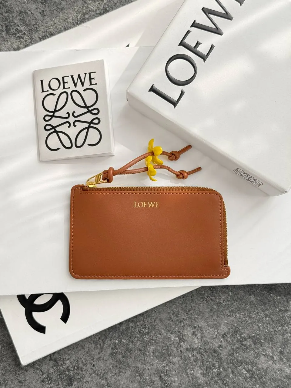 LOEWE Loewe Knot Coin Cardholder in Brown