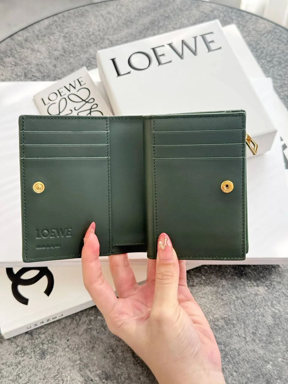 LOEWE Loewe Landscape Compact Wallet Khaki