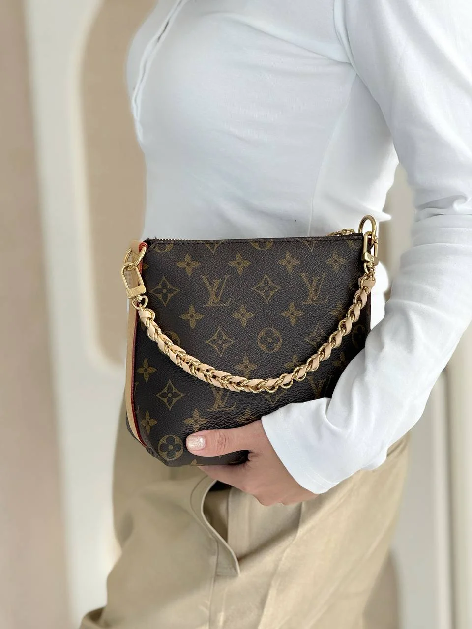 Louis Vuitton LV Multipass Mini Monogram