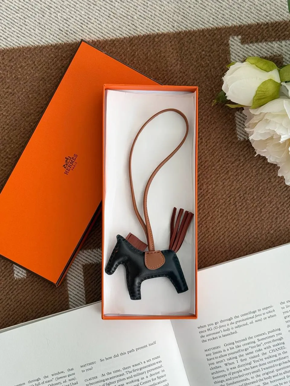 Hermes Hermes Rodeo PM Noir - Black / Sienne / Gold
